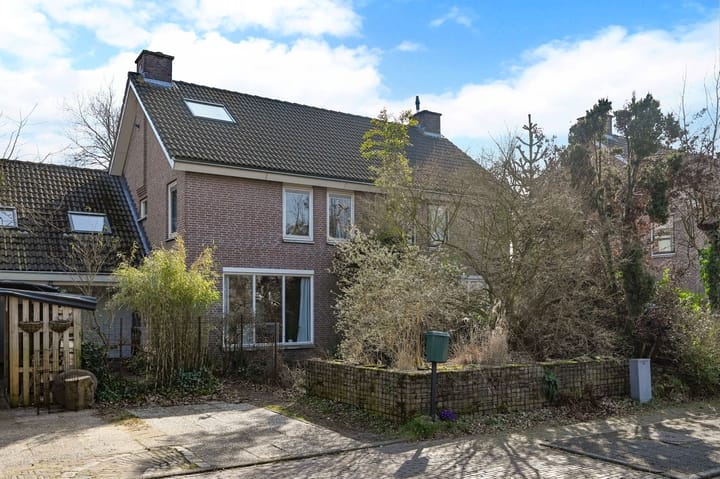 Foto 8 van Honingbij 13