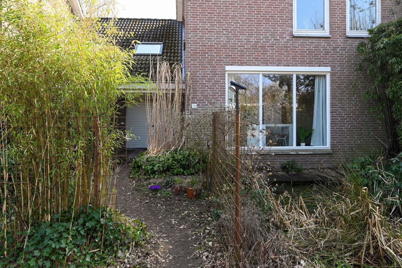 Foto 9 van Honingbij 13