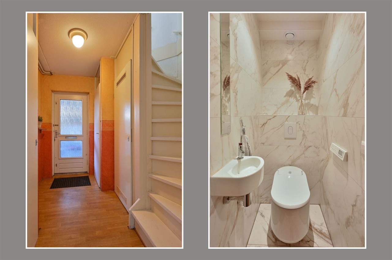 Foto 10 van Honingbij 13