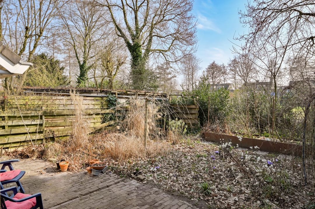 Foto 17 van Honingbij 13