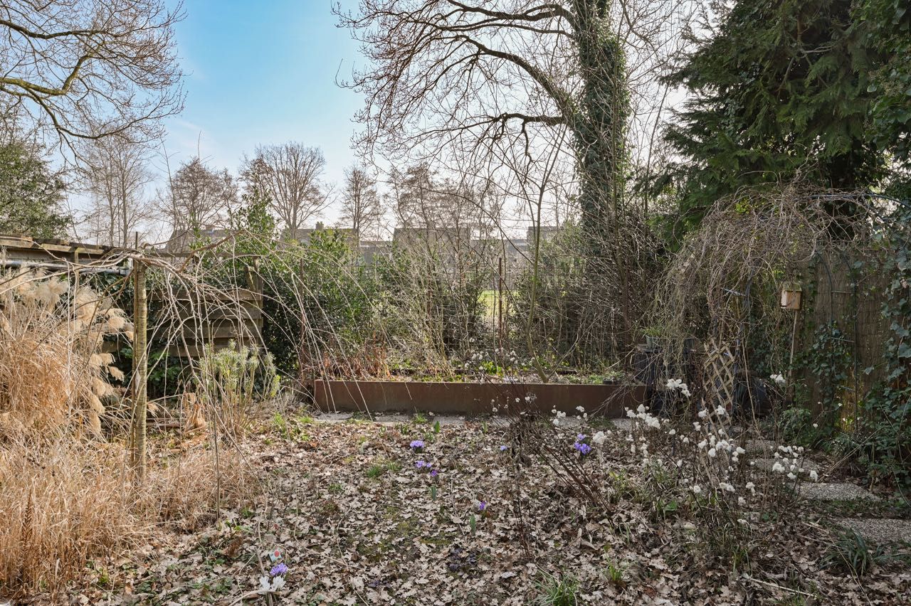 Foto 18 van Honingbij 13