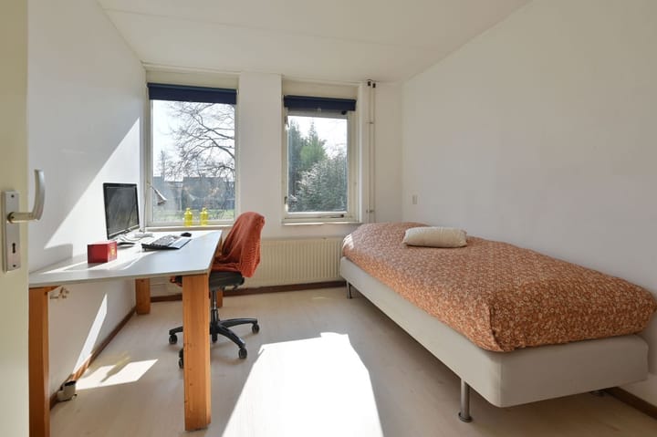 Foto 19 van Honingbij 13