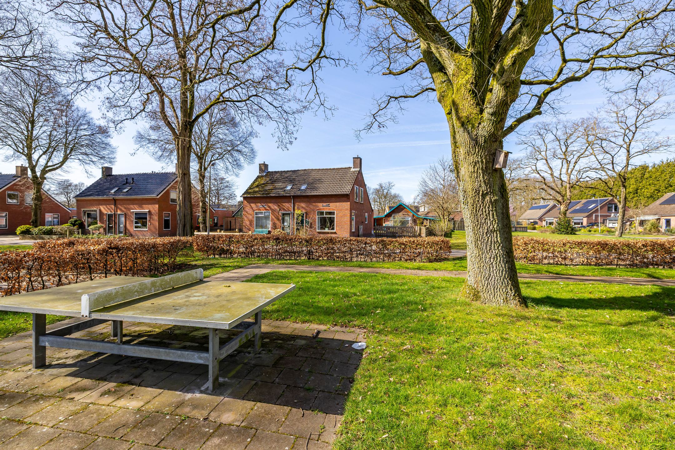 Foto 54 van Lijsterstraat 16