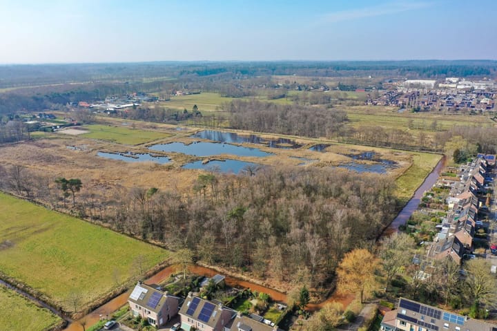 Foto 29 van Honingbij 13