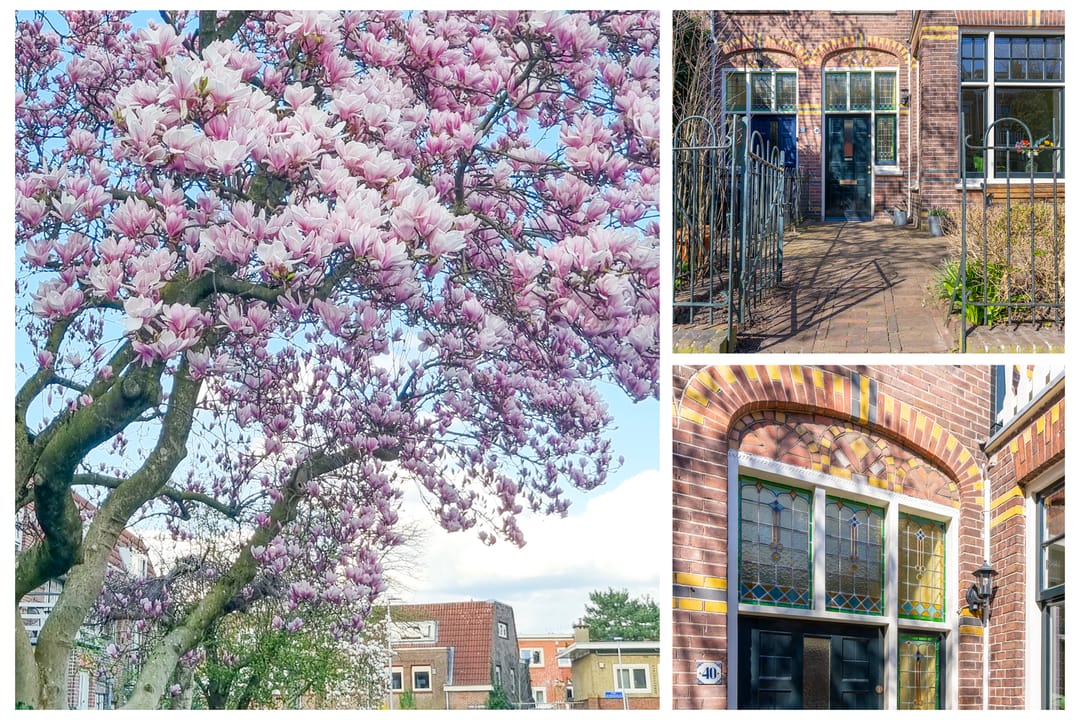 Foto 41 van Gerard Doustraat 40