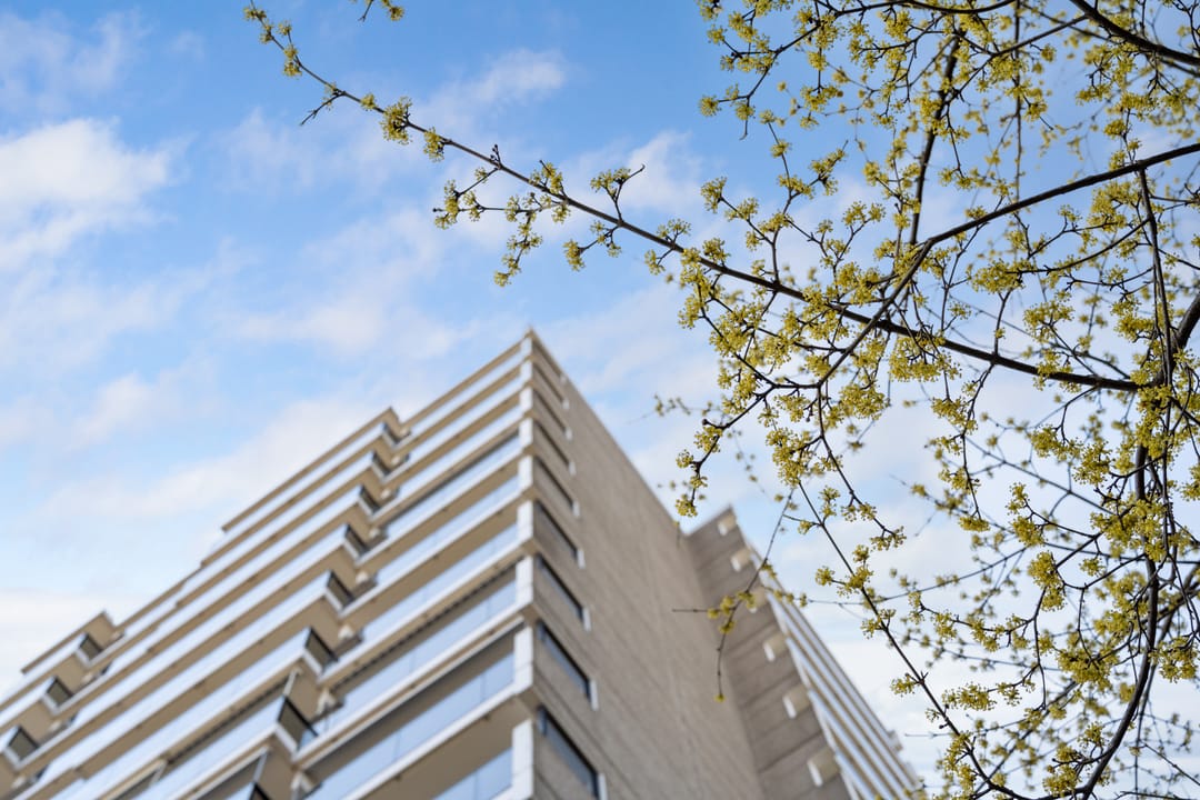 Foto 2 van Octant 170