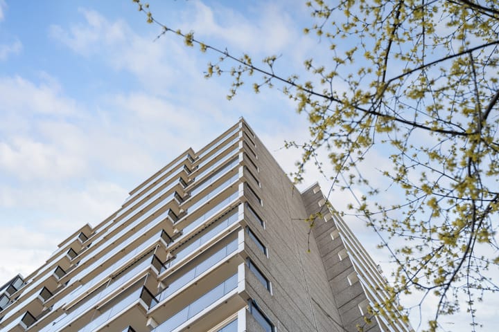 Foto 3 van Octant 170