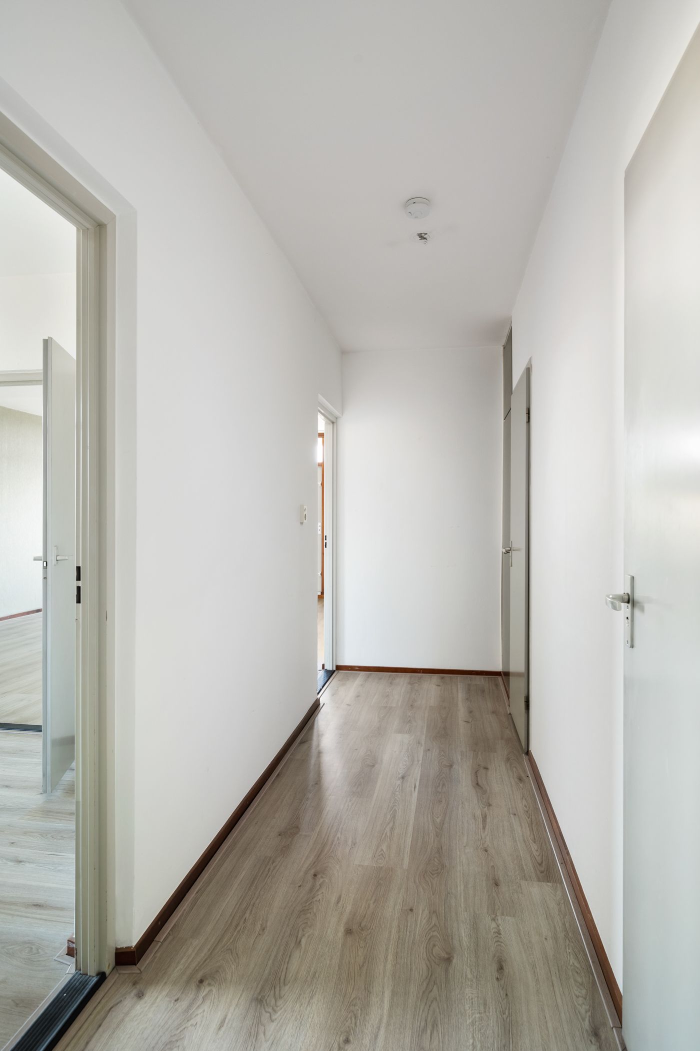 Foto 36 van Octant 170