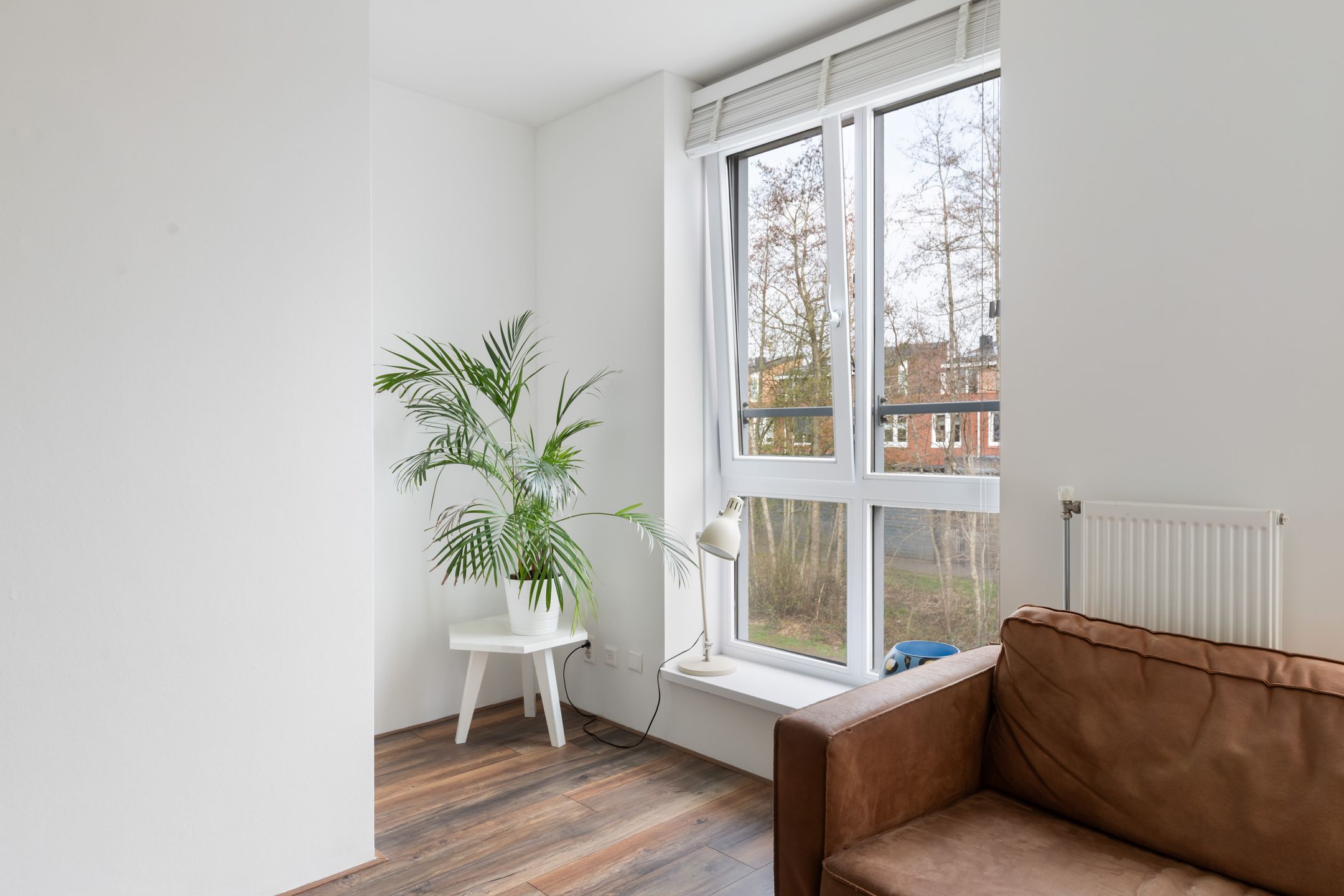 Foto 9 van Straat van Corsica 53-B