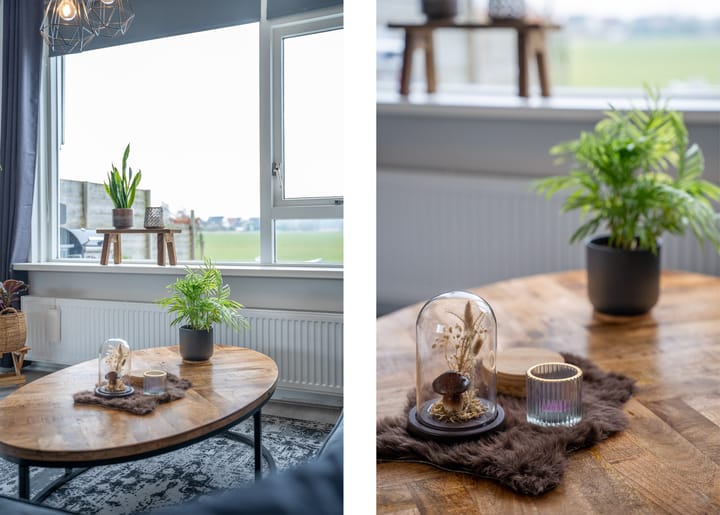 Foto 12 van Reinaard 24