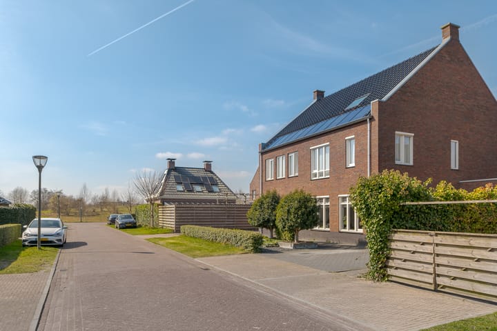 Foto 7 van Speenkruid 3