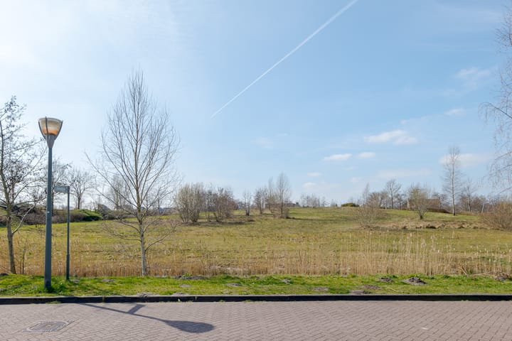 Foto 8 van Speenkruid 3