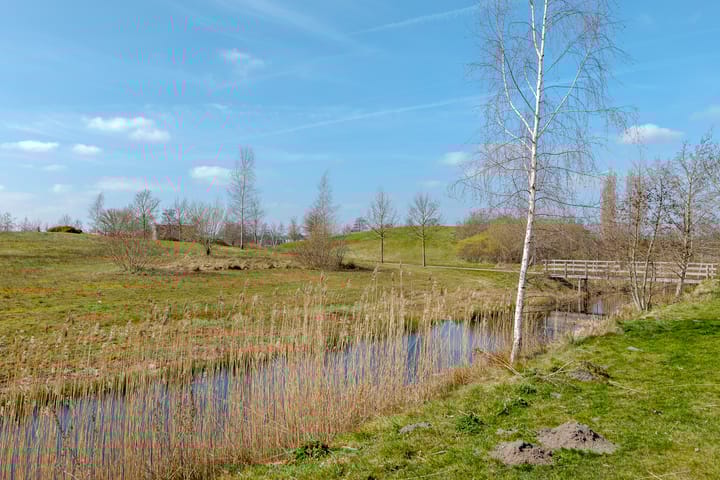 Foto 9 van Speenkruid 3