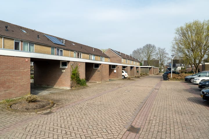 Foto 39 van Reinaard 24