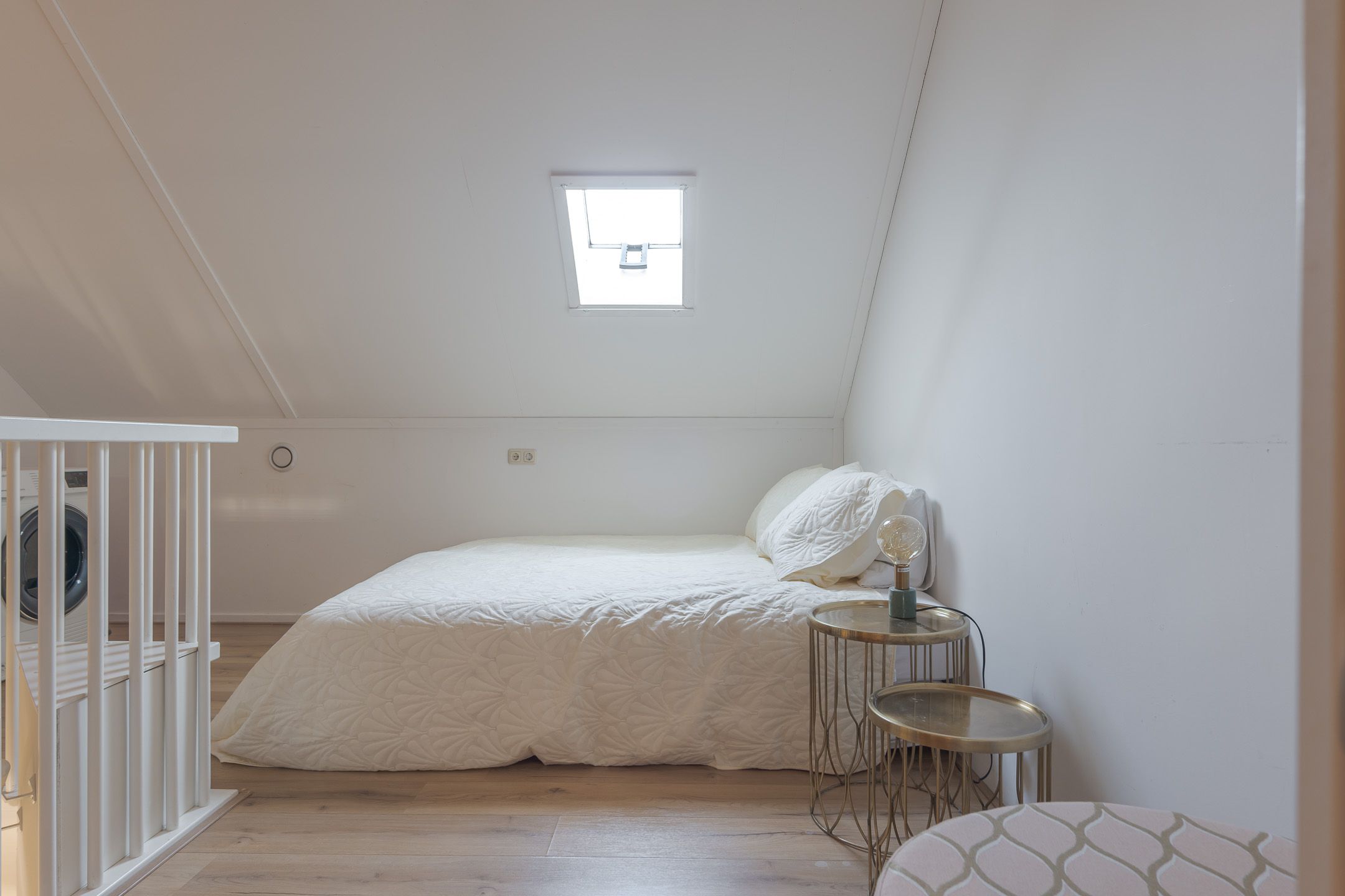 Foto 45 van Speenkruid 3