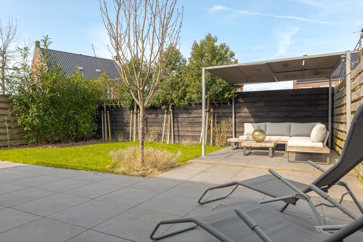 Foto 47 van Speenkruid 3