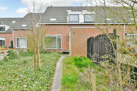 undefined main image