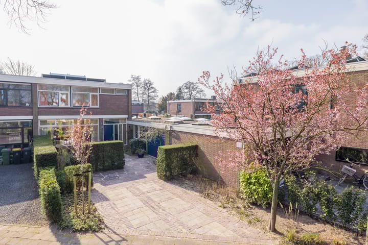 Foto 47 van Elbalaan 5