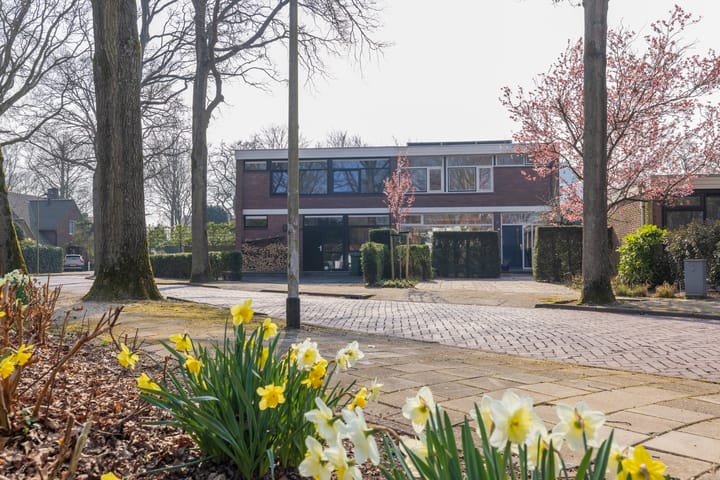 Foto 46 van Elbalaan 5