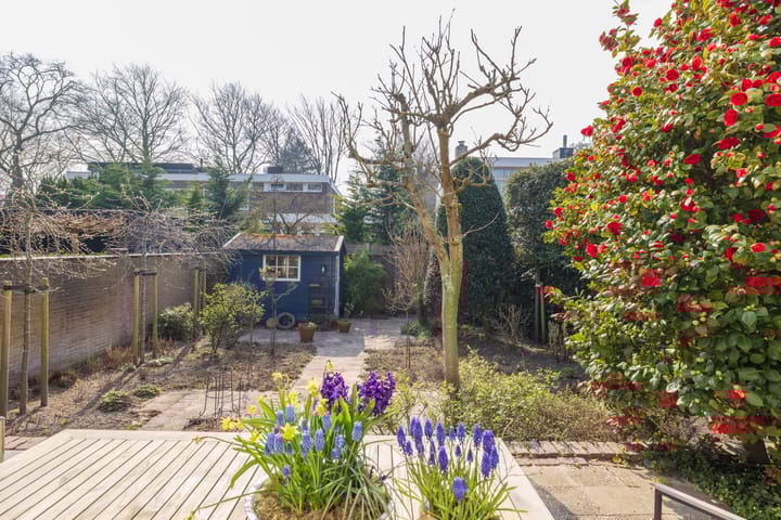 Foto 50 van Elbalaan 5