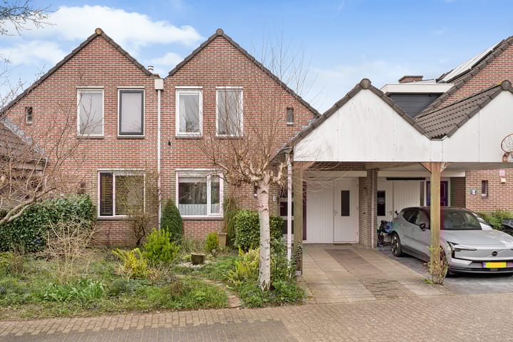 Foto 1 van Weerschijnvlinder 3