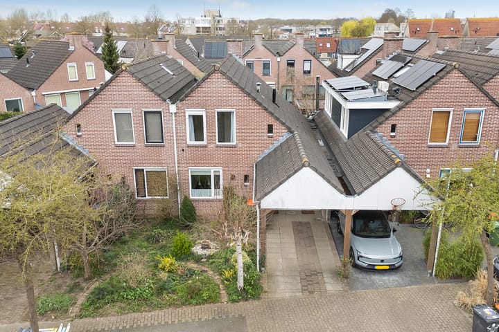 Foto 2 van Weerschijnvlinder 3