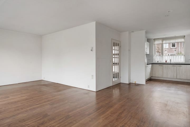 Foto 5 van Weerschijnvlinder 3