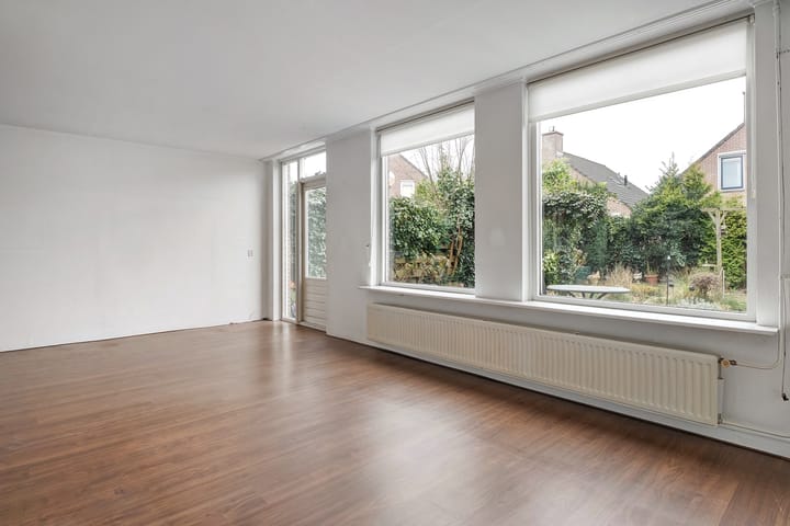 Foto 6 van Weerschijnvlinder 3