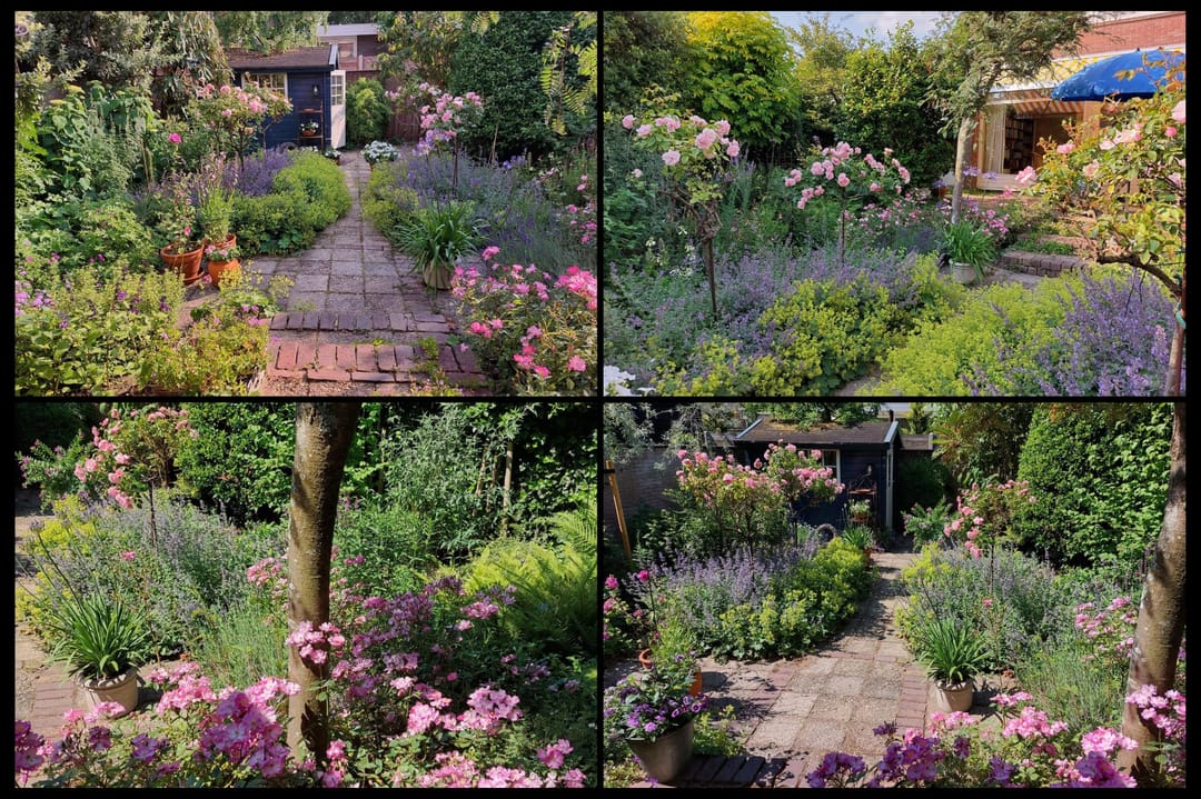 Foto 58 van Elbalaan 5