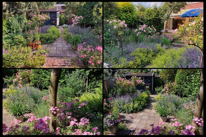 Foto 58 van Elbalaan 5