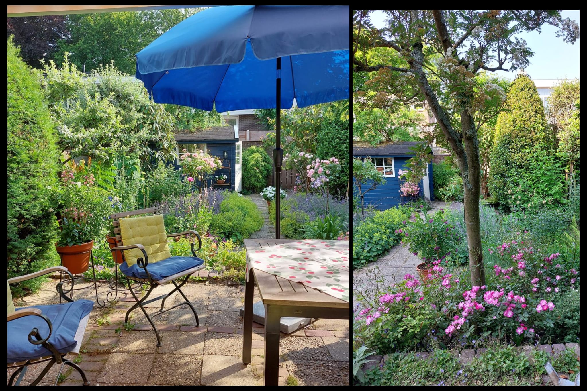 Foto 3 van Elbalaan 5