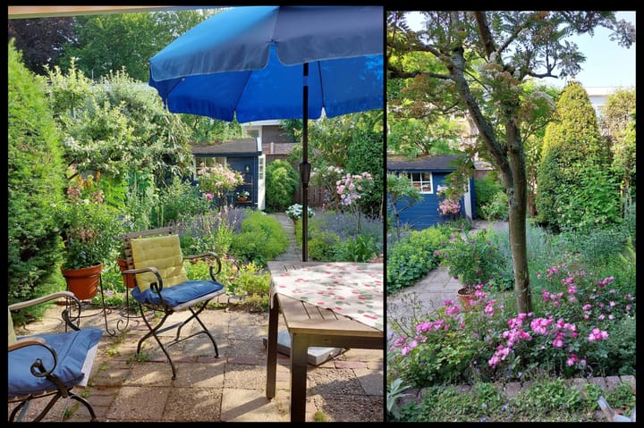 Foto 3 van Elbalaan 5