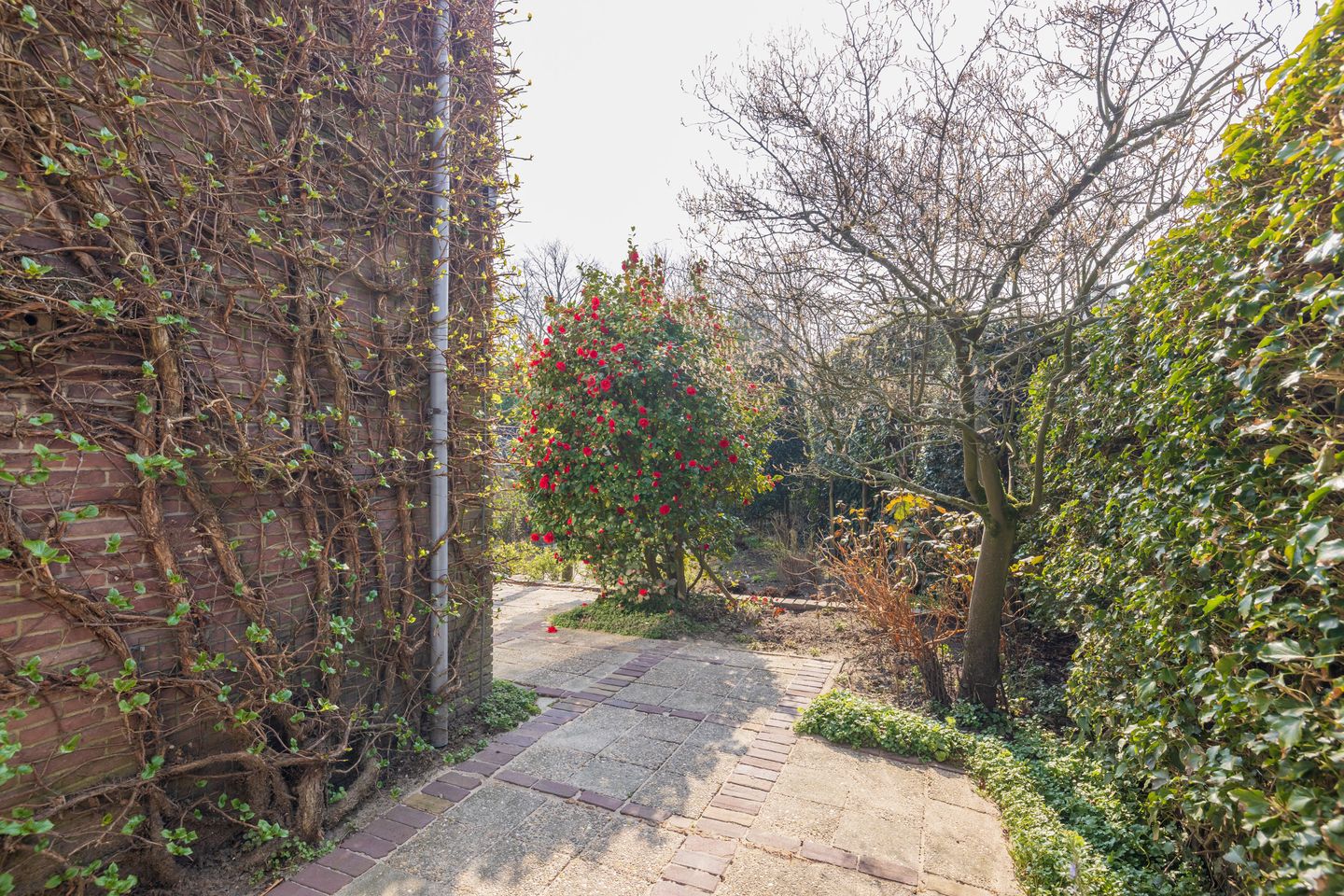 Foto 59 van Elbalaan 5