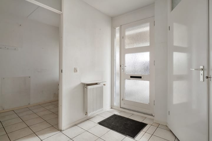 Foto 10 van Weerschijnvlinder 3