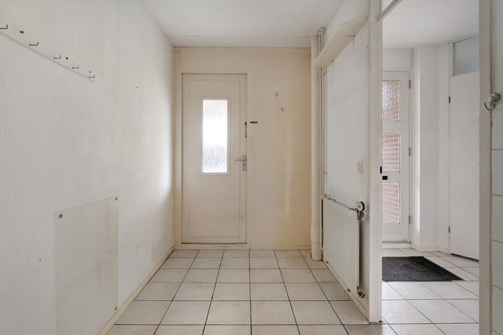 Foto 12 van Weerschijnvlinder 3