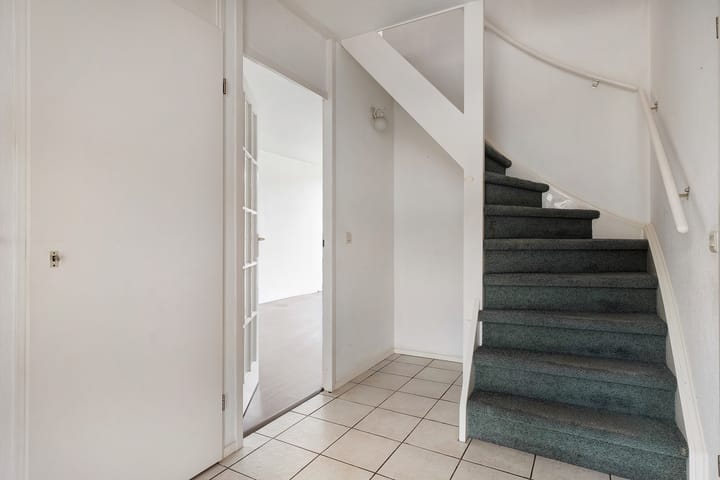 Foto 13 van Weerschijnvlinder 3