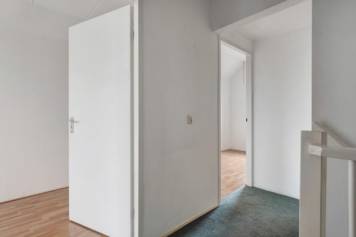 Foto 15 van Weerschijnvlinder 3