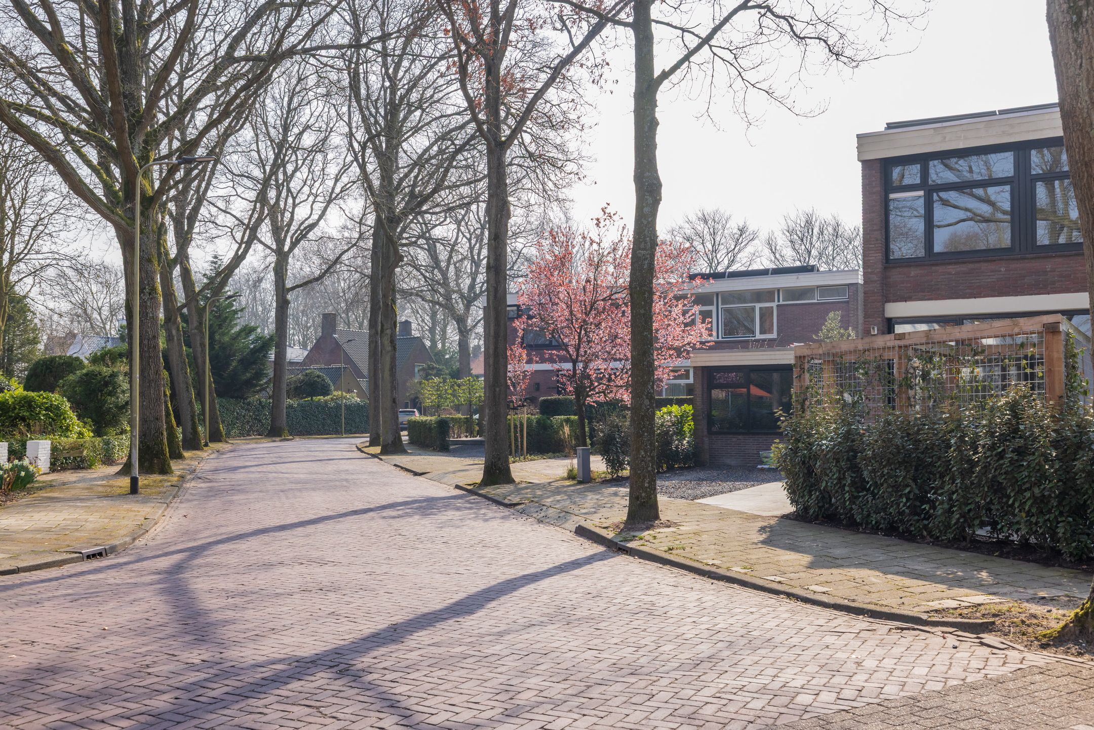 Foto 66 van Elbalaan 5