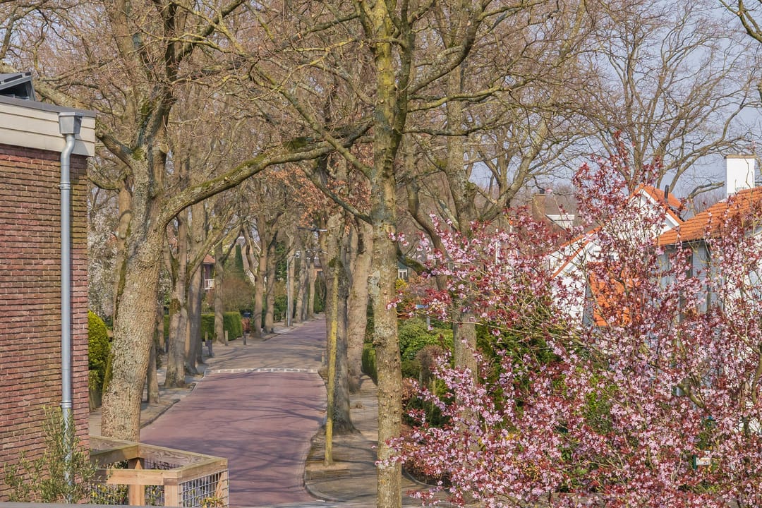 Foto 67 van Elbalaan 5