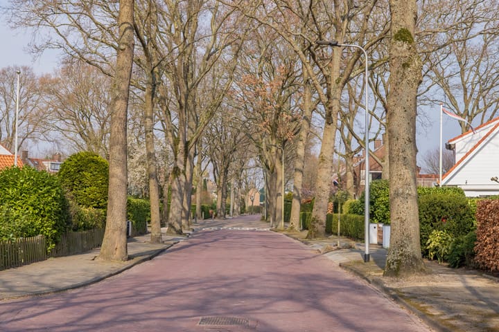 Foto 68 van Elbalaan 5