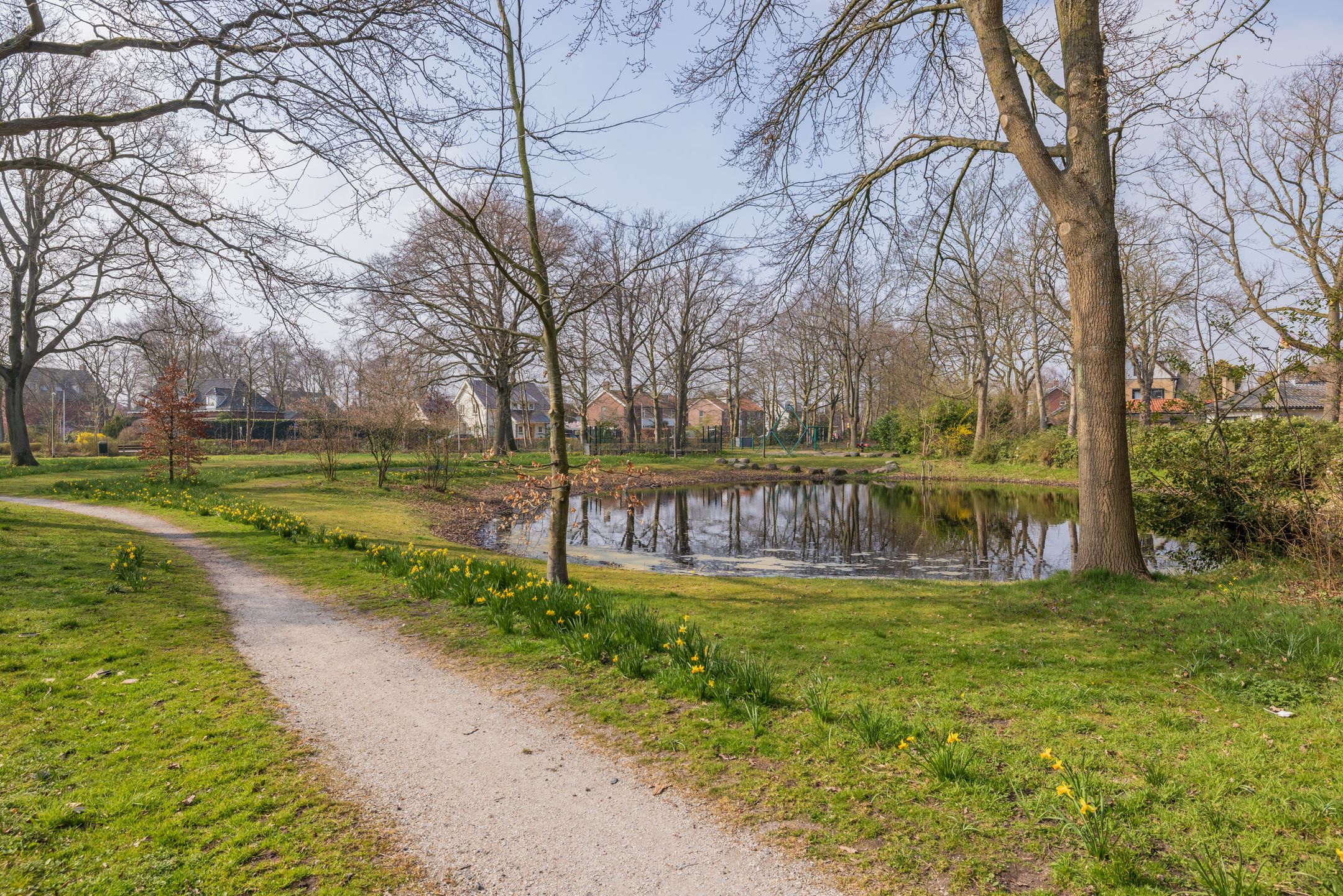 Foto 69 van Elbalaan 5