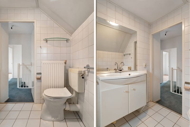 Foto 22 van Weerschijnvlinder 3