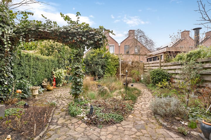 Foto 24 van Weerschijnvlinder 3