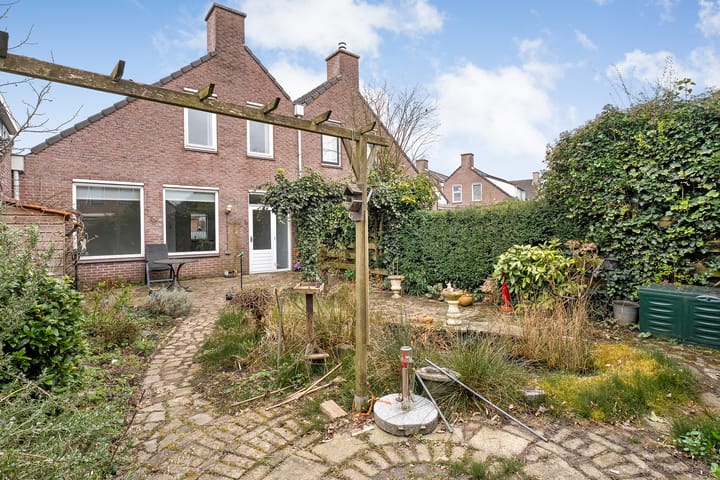 Foto 25 van Weerschijnvlinder 3