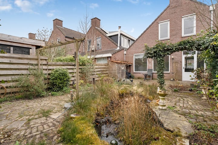 Foto 26 van Weerschijnvlinder 3