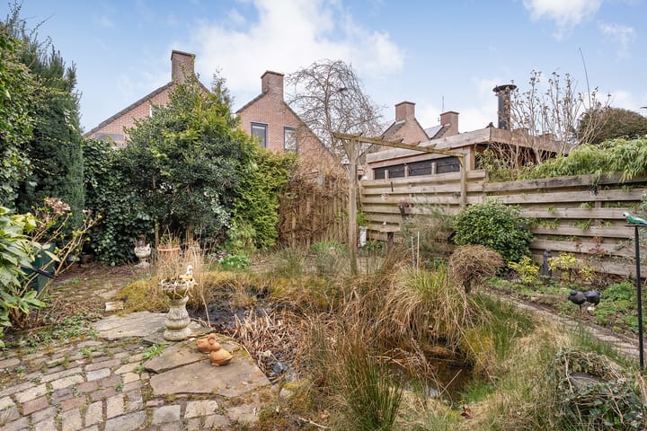 Foto 27 van Weerschijnvlinder 3