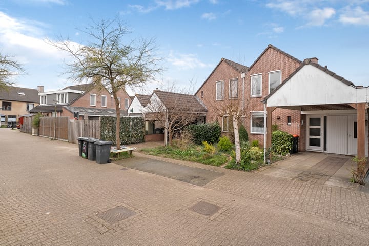 Foto 28 van Weerschijnvlinder 3