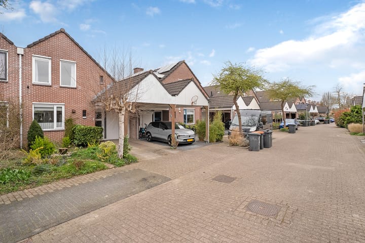 Foto 29 van Weerschijnvlinder 3