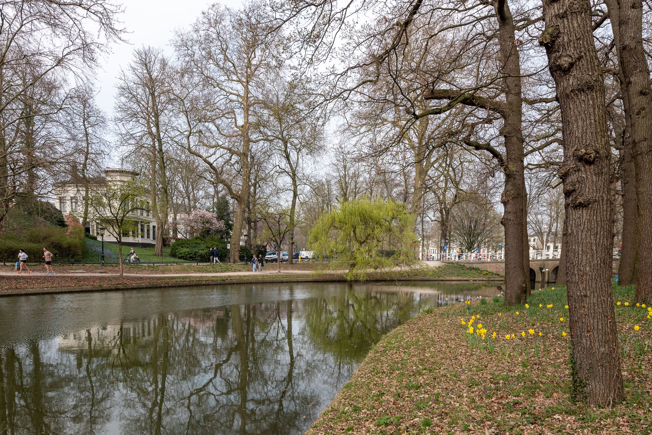 Foto 33 van Maliesingel 34-B