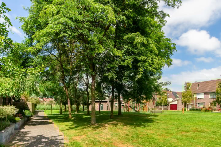 Foto 49 van De Vliet 23